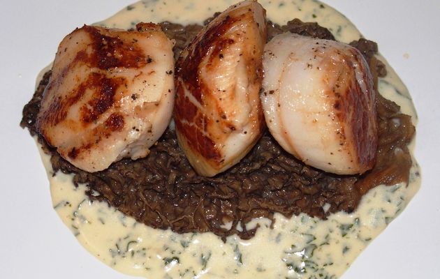 Noix de Saint-Jacques aux morilles