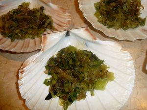 Coquilles St-Jacques gratinées