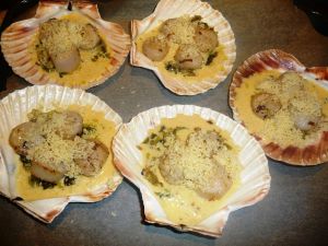 Coquilles St-Jacques gratinées