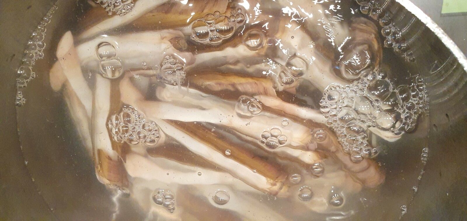 Couteaux de mer gratinés au beurre persillé