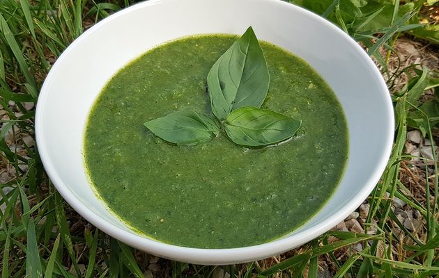 Sauce pesto maison