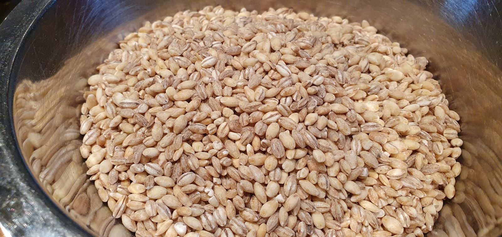 Risotto d'orge au fenouil et truite saumonée