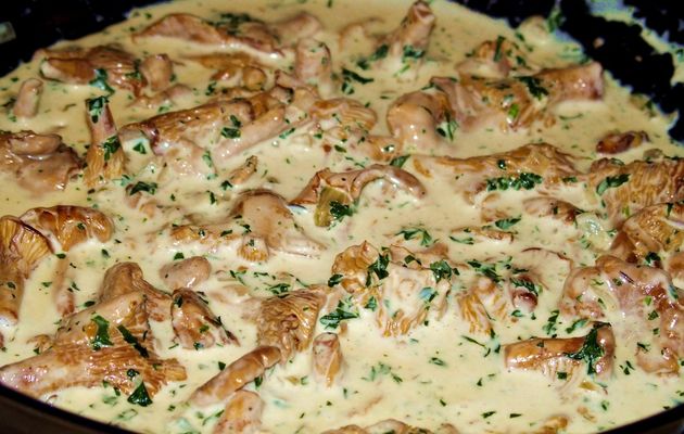 Sauce aux chanterelles