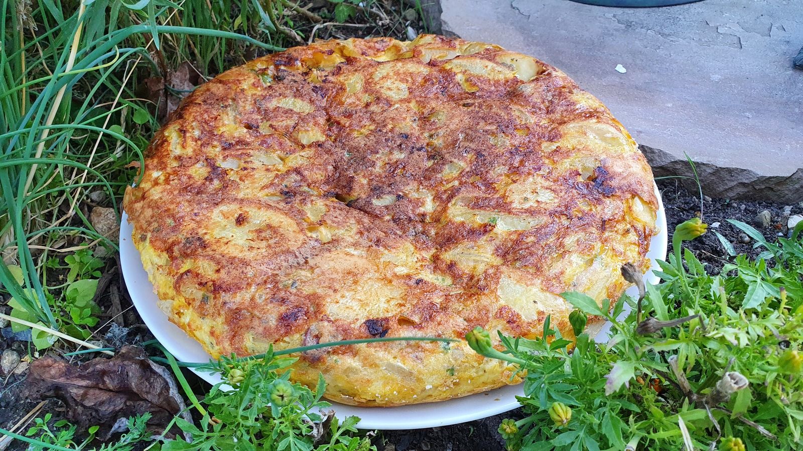 Tortilla au chorizo et oignons